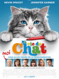 2-ma-vie-de-chat