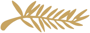 3000px-Palme_d'Or.svg